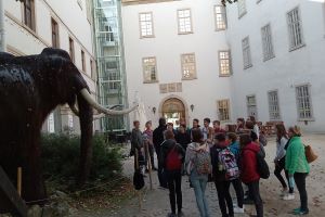 IMG 20201009 104417 2